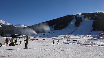 Pet-Friendly Ski in Ski out Condo 30 Second Walk to Lift  - SF204 by R