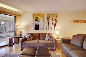 Pet-friendly Very Spacious Condo - BE108 by RedAwning