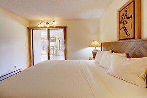 Pet-friendly Very Spacious Condo - BE108 by RedAwning