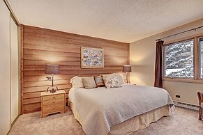 Beautiful Dog Friendly Ski Chalet A Minute to SuperBee Lift - AN203 by