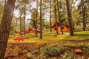 El Remanso de Tecpan