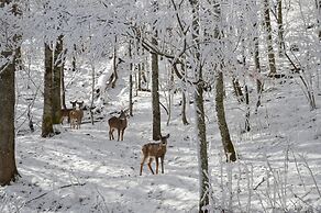 Bald Mountain House Inn at the Wolf Laurel Resort