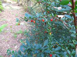 Kenoza Lake View Manor