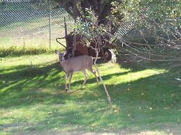 Kenoza Lake View Manor