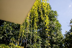 An Bang Morning Glory Beach Homestay