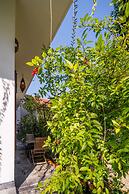 An Bang Morning Glory Beach Homestay