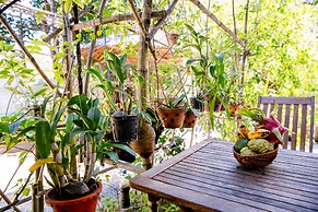 An Bang Morning Glory Beach Homestay