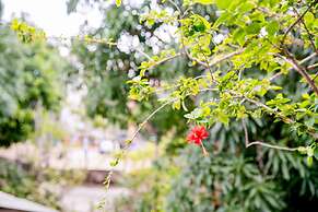 An Bang Morning Glory Beach Homestay