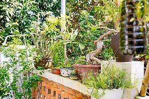 An Bang Morning Glory Beach Homestay