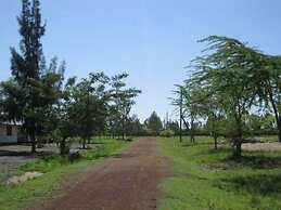 Nehemiah International