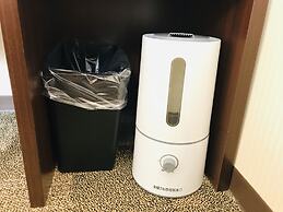 Toyoko Inn Hikone Station Higashi