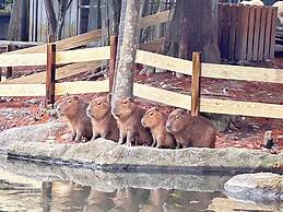 River Forest Leisure Farm