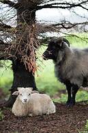 Lake Hotel Gistihusid Egilsstadir