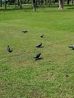 Bed To Bangkok - Hostel