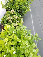 Bed To Bangkok - Hostel