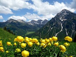 ALP-CHALET Ferienwohnungen Kleinwalsertal