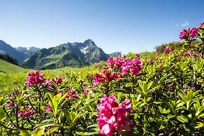 ALP-CHALET Ferienwohnungen Kleinwalsertal