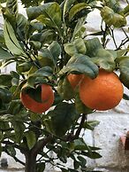 Alacati Cona Butik Otel