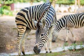 Muong Thanh Luxury Dien Lam Hotel