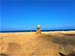 Gold Coast Family Cottages