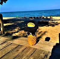 Gold Coast Family Cottages