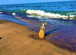 Gold Coast Family Cottages