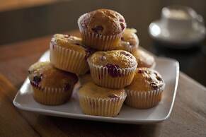 Alexanders Guesthouse - Adult Exclusive, LGBTQ Friendly