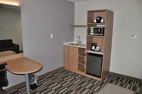 Microtel Inn & Suites by Wyndham Lubbock