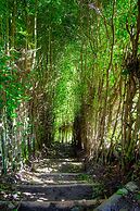 Finca Hotel Casa Nostra - Villa Mariana