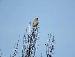 Hospedaje La Tierrita