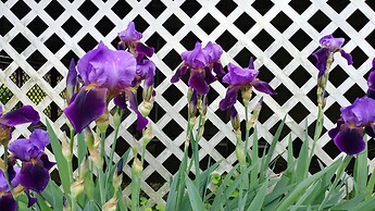 Another World Pension