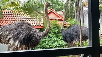 Himawari Restaurant & Cottage