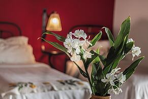 Finca Las Margaritas