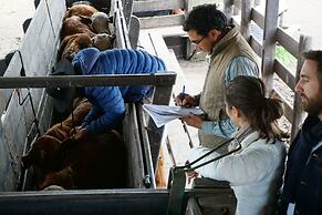 Finca Las Margaritas