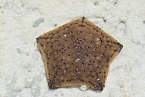 Ujamaa Beach Resort Zanzibar