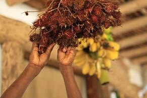 Ujamaa Beach Resort Zanzibar