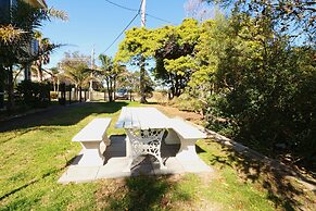 Beachcomber Pet Friendly