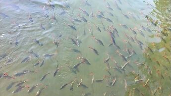 The Green House Kanchanaburi