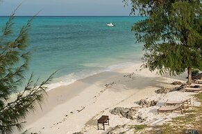 Nungwi Dreams by Mantis