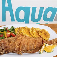 Show Pony Beach Resort