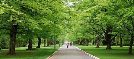 Central City Camping Park Invercargill