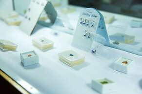 Airport Planet Lodge at Kilimanjaro Airport