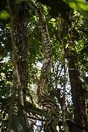 Grand Selva Lodge & Tours