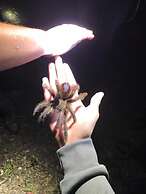 Grand Selva Lodge & Tours