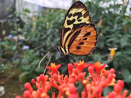 Grand Selva Lodge & Tours