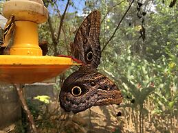 Grand Selva Lodge & Tours