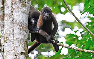 Grand Selva Lodge & Tours