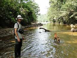 Grand Selva Lodge & Tours