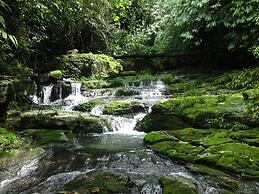 Grand Selva Lodge & Tours