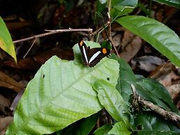 Grand Selva Lodge & Tours